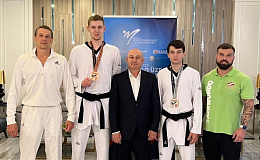 Чемпионат мира по таэквондо